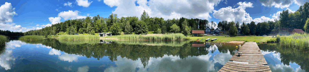 Woda, las, miliony gwiazd!